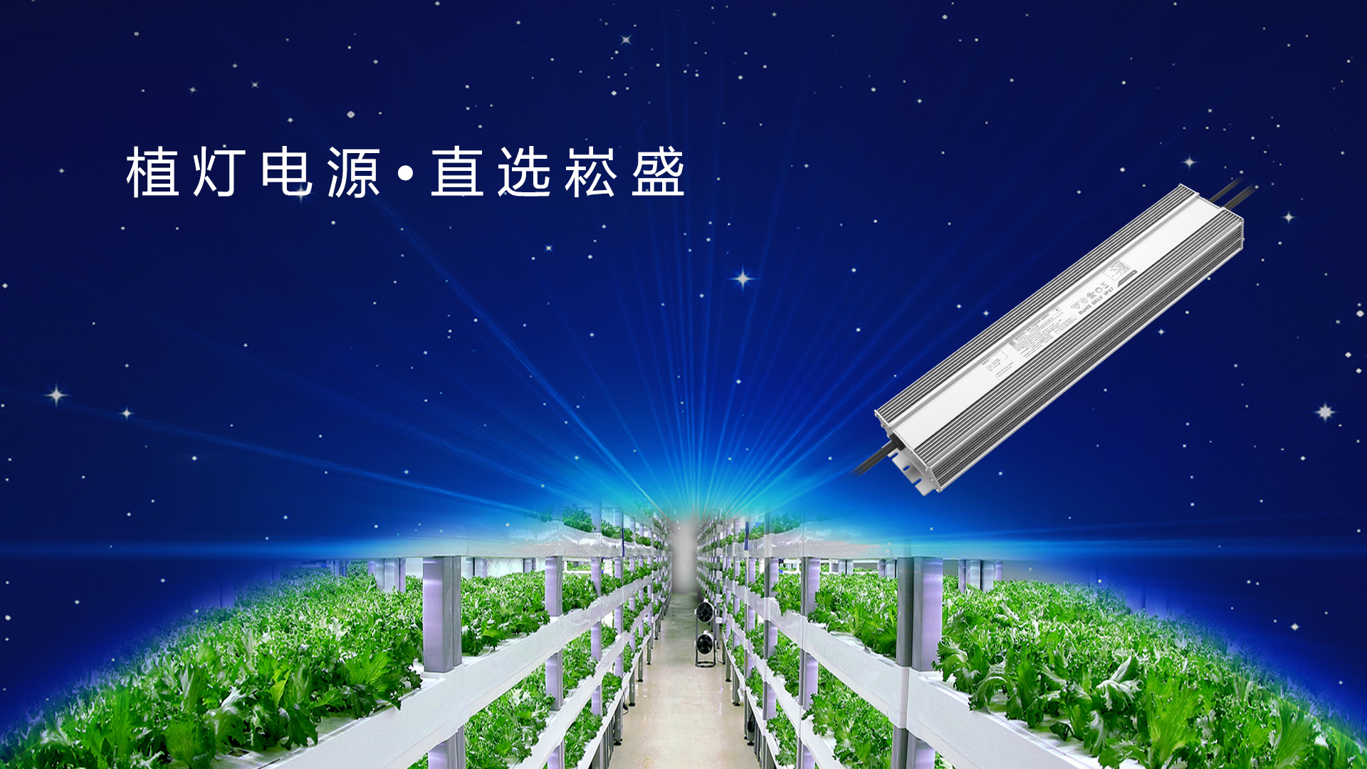 追光而行 ▏做植物照明驱动者，，，，，让未来农业绽放无限可能